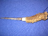 Maskenbilder 002.jpg
